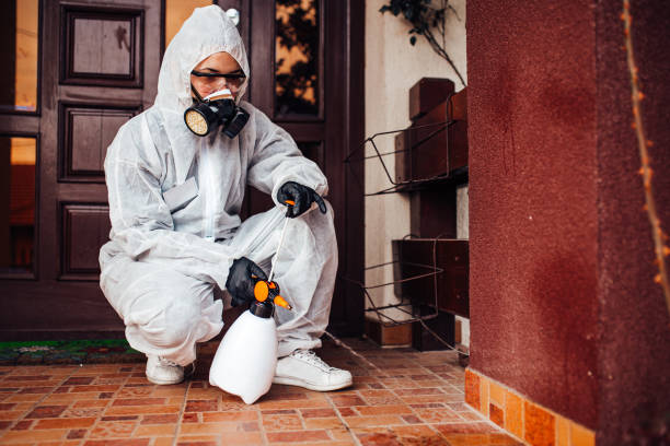 Reliable Wasp Removal contractor in Everett, PA by Show Me Pest Control